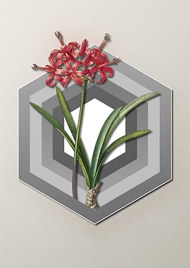 Red Lily Flower on Pastel