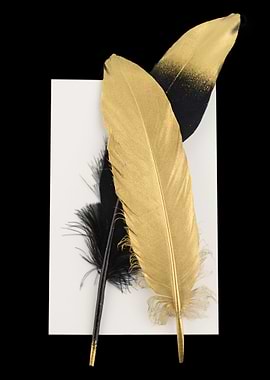 Gold and black Feather