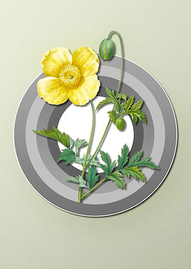 Poppy on Light Pastel