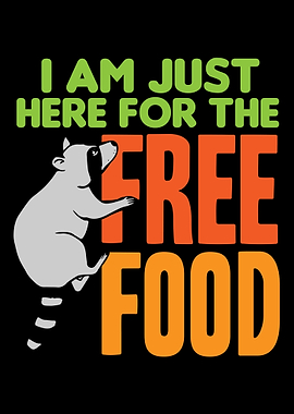 Raccoon Food Wildlife