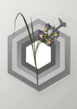 Gladiolus Flower on Pastel