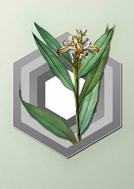 Yellow Flower on Pastel