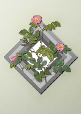 Pink Rose Flower Pastel