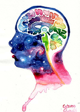 The universe of the human