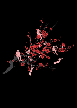 Cherry Blossoms Spring