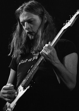 David Gilmour