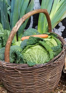 fruit and vegetables