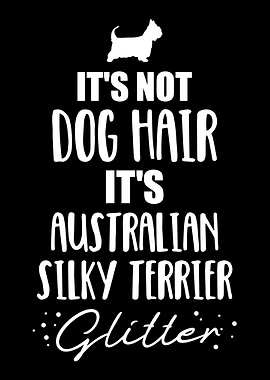 Australian Silky Terrier