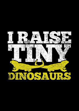 Bearded Dragon Lizard