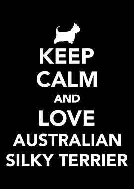 Australian Silky Terrier