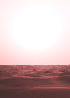 desert