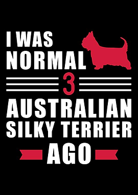 Australian Silky Terrier