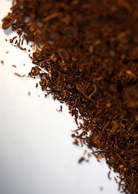 Tobacco rolling leaves