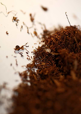 Tobacco rolling leaves