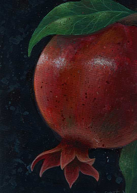 Pomegranate