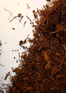 Tobacco rolling leaves