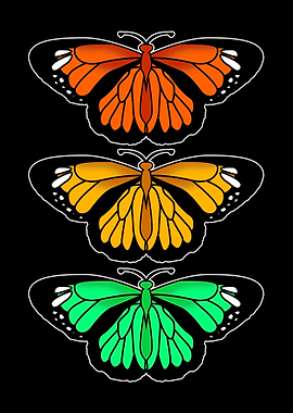 Colorful Butterflies