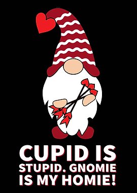 Cute Valentines Gnome
