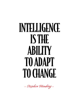 Stephen Hawking Quote