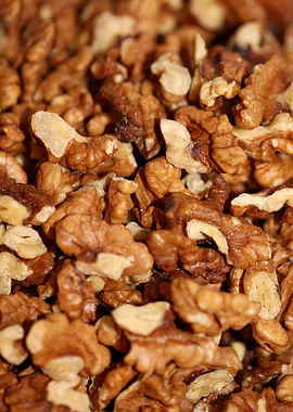 Nuts eat macro background