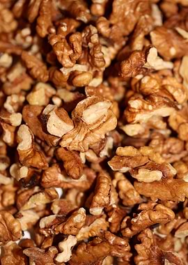 Nuts eat macro background