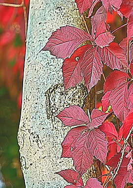 colorful autumn leaf