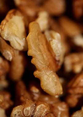 Nuts eat macro background