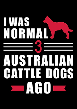 Australian Cattle Dog