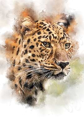 Leopard Head