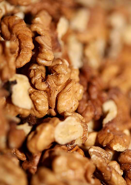 Nuts eat macro background
