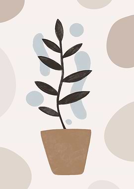 Plant in a pot