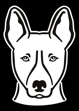 Basenji
