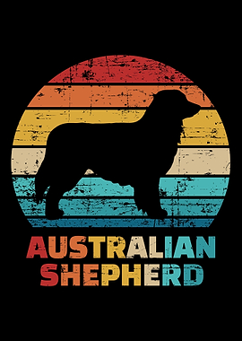 Australian Shepherd