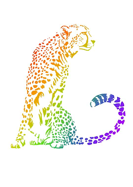 Gay Cheetah