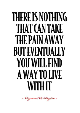 Raymond Reddington Quote