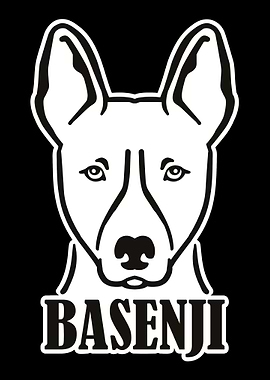 Basenji