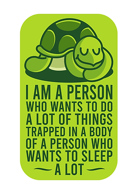 SLEEPING TURTLE Turtle
