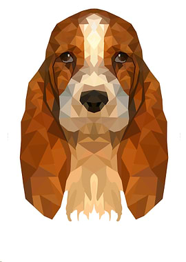 Basset