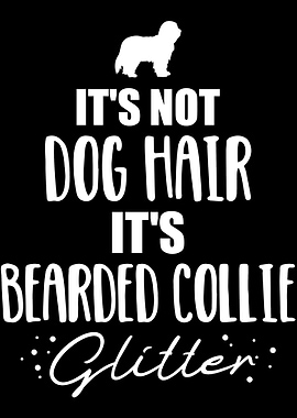 Bearded Collie