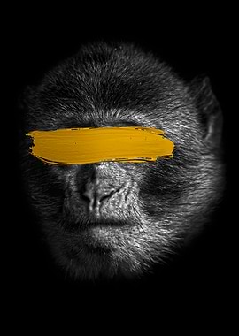 Monkey no see artwork