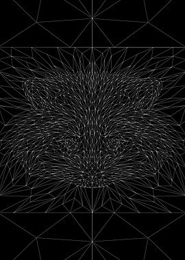 Racoon low poly line