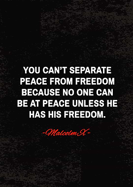 malcolm x quotes