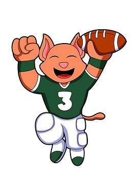 Cat Football Sports