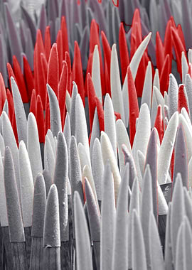 colorful sansevieria