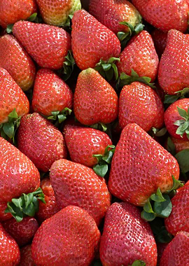 Fresh Strawberries 01