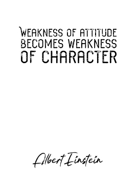 Albert Einstein Quote 8