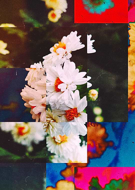 I Thought You Liked Flower