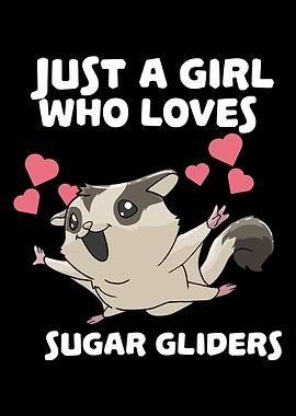 Sugar Glider Sugar Glider