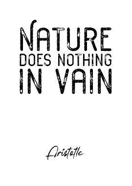 Aristotle Quote 1