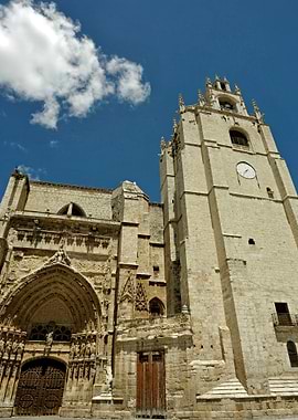 Cathedral in Palencia